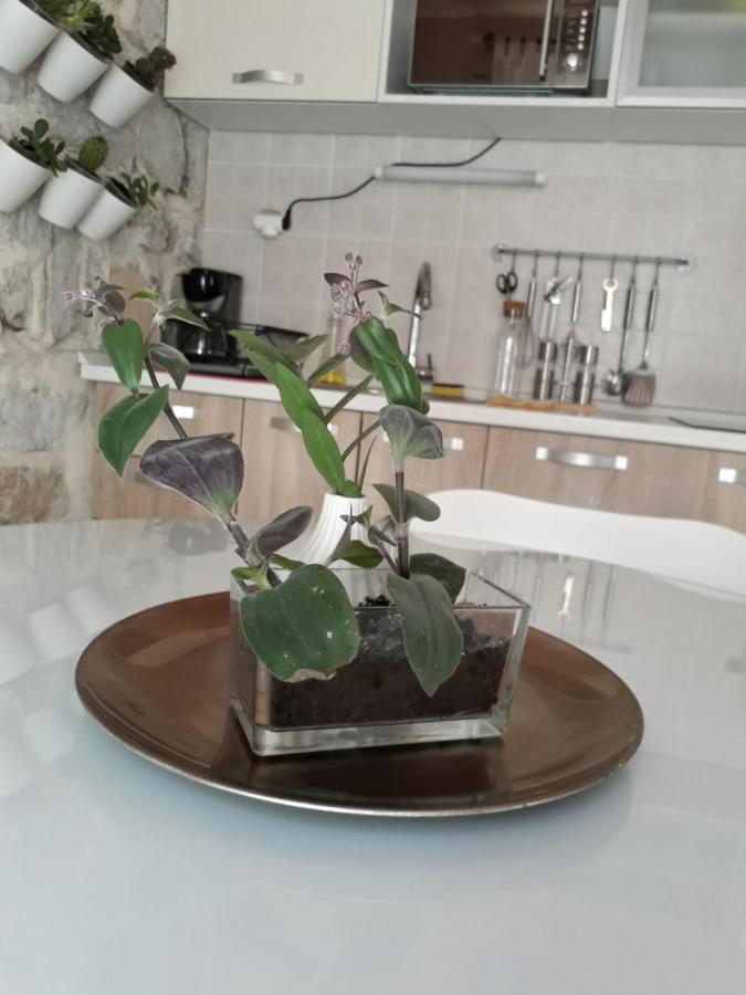 Leut Apartment Korčula Екстериор снимка