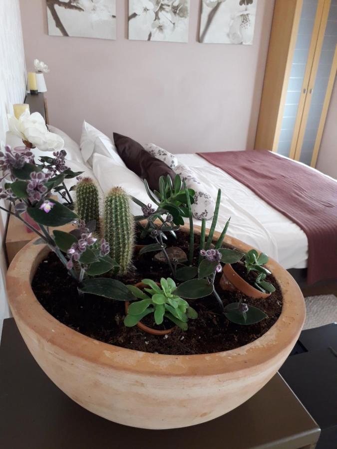 Leut Apartment Korčula Екстериор снимка